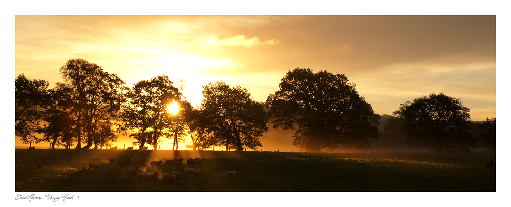 images from wales - Ian Nicholson Photography - Builth Wells